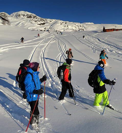 Forsiden